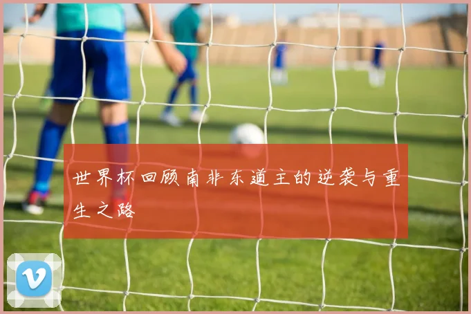 世界杯回顾南非东道主的逆袭与重生之路